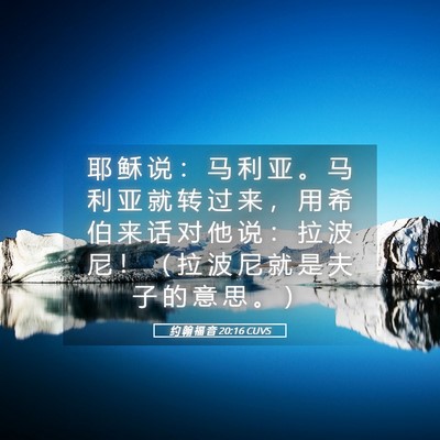 Picture 05 - 约 翰 福 音 20:16 CUVS - 耶 稣 说 ： 马 利 亚 。 马 利 亚 就 - Bible Verse Picture