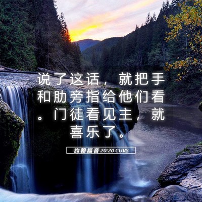 Picture 05 - 约 翰 福 音 20:20 CUVS - 说 了 这 话 ， 就 把 手 和 肋 旁 指 - Bible Verse Picture