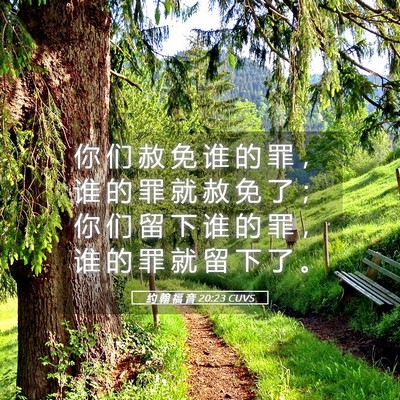 Picture 05 - 约 翰 福 音 20:23 CUVS - 你 们 赦 免 谁 的 罪 ， 谁 的 罪 就 - Bible Verse Picture