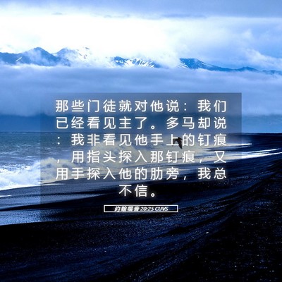 Picture 05 - 约 翰 福 音 20:25 CUVS - 那 些 门 徒 就 对 他 说 ： 我 们 已 - Bible Verse Picture