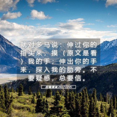 Picture 05 - 约 翰 福 音 20:27 CUVS - 就 对 多 马 说 ： 伸 过 你 的 指 头 - Bible Verse Picture