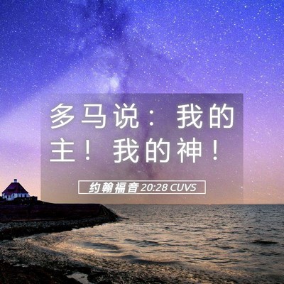 Picture 05 - 约 翰 福 音 20:28 CUVS - 多 马 说 ： 我 的 主 ！ 我 的 神 - Bible Verse Picture