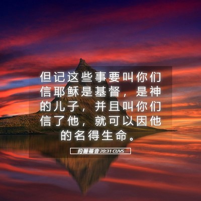 Picture 05 - 约 翰 福 音 20:31 CUVS - 但 记 这 些 事 要 叫 你 们 信 耶 稣 - Bible Verse Picture