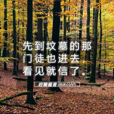 Picture 05 - 约 翰 福 音 20:8 CUVS - 先 到 坟 墓 的 那 门 徒 也 进 去 ， - Bible Verse Picture