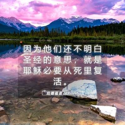 Picture 05 - 约 翰 福 音 20:9 CUVS - 因 为 他 们 还 不 明 白 圣 经 的 意 - Bible Verse Picture