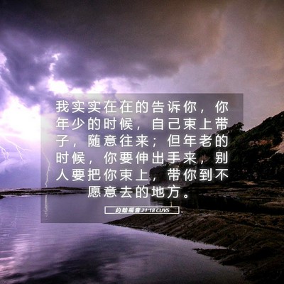 Picture 05 - 约 翰 福 音 21:18 CUVS - 我 实 实 在 在 的 告 诉 你 ， 你 年 - Bible Verse Picture