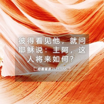 Picture 05 - 约 翰 福 音 21:21 CUVS - 彼 得 看 见 他 ， 就 问 耶 稣 说 ： - Bible Verse Picture