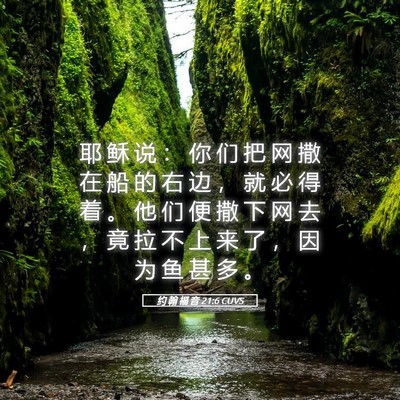 Picture 05 - 约 翰 福 音 21:6 CUVS - 耶 稣 说 ： 你 们 把 网 撒 在 船 的 - Bible Verse Picture