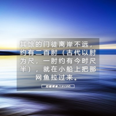 Picture 05 - 约 翰 福 音 21:8 CUVS - 其 馀 的 门 徒 离 岸 不 远 ， 约 有 - Bible Verse Picture
