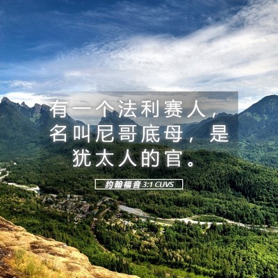 Picture 05 - 约 翰 福 音 3:1 CUVS - 有 一 个 法 利 赛 人 ， 名 叫 尼 哥 - Bible Verse Picture
