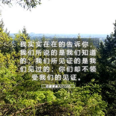 Picture 05 - 约 翰 福 音 3:11 CUVS - 我 实 实 在 在 的 告 诉 你 ， 我 们 - Bible Verse Picture