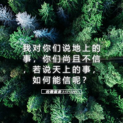 Picture 05 - 约 翰 福 音 3:12 CUVS - 我 对 你 们 说 地 上 的 事 ， 你 们 - Bible Verse Picture