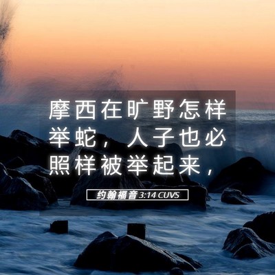 Picture 05 - 约 翰 福 音 3:14 CUVS - 摩 西 在 旷 野 怎 样 举 蛇 ， 人 子 - Bible Verse Picture