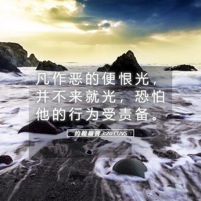 Picture 05 - 约 翰 福 音 3:20 CUVS - 凡 作 恶 的 便 恨 光 ， 并 不 来 就 - Bible Verse Picture