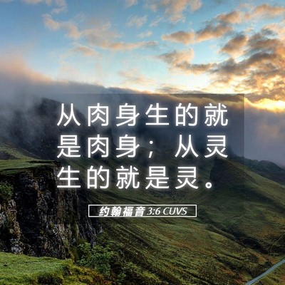 Picture 05 - 约 翰 福 音 3:6 CUVS - 从 肉 身 生 的 就 是 肉 身 ； 从 灵 - Bible Verse Picture