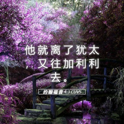 Picture 05 - 约 翰 福 音 4:3 CUVS - 他 就 离 了 犹 太 ， 又 往 加 利 利 - Bible Verse Picture