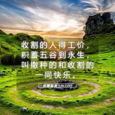 Picture 05 - 约 翰 福 音 4:36 CUVS - 收 割 的 人 得 工 价 ， 积 蓄 五 谷 - Bible Verse Picture