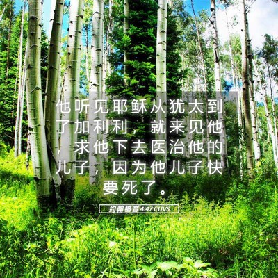 Picture 05 - 约 翰 福 音 4:47 CUVS - 他 听 见 耶 稣 从 犹 太 到 了 加 利 - Bible Verse Picture