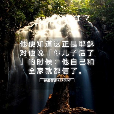 Picture 05 - 约 翰 福 音 4:53 CUVS - 他 便 知 道 这 正 是 耶 稣 对 他 说 - Bible Verse Picture