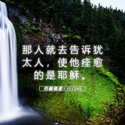 Picture 05 - 约 翰 福 音 5:15 CUVS - 那 人 就 去 告 诉 犹 太 人 ， 使 他 - Bible Verse Picture