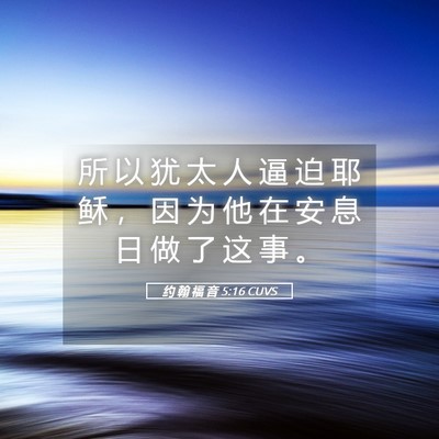 Picture 05 - 约 翰 福 音 5:16 CUVS - 所 以 犹 太 人 逼 迫 耶 稣 ， 因 为 - Bible Verse Picture