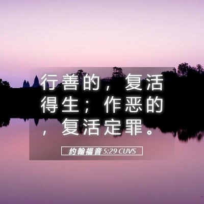Picture 05 - 约 翰 福 音 5:29 CUVS - 行 善 的 ， 复 活 得 生 ； 作 恶 的 - Bible Verse Picture