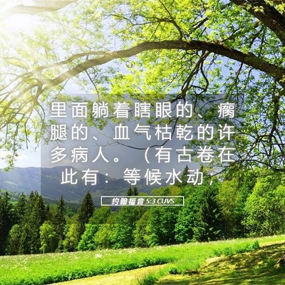 Picture 05 - 约 翰 福 音 5:3 CUVS - 里 面 躺 着 瞎 眼 的 、 瘸 腿 的 、 - Bible Verse Picture