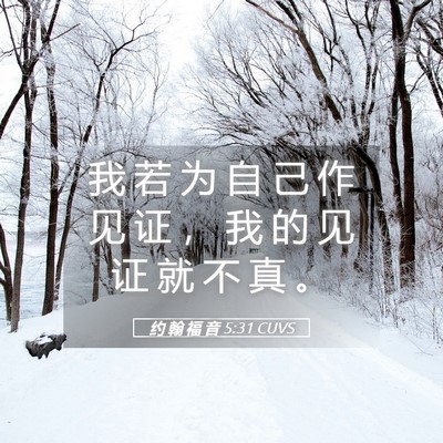Picture 05 - 约 翰 福 音 5:31 CUVS - 我 若 为 自 己 作 见 证 ， 我 的 见 - Bible Verse Picture