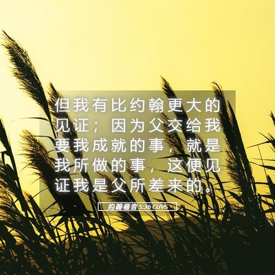 Picture 05 - 约 翰 福 音 5:36 CUVS - 但 我 有 比 约 翰 更 大 的 见 证 ； - Bible Verse Picture