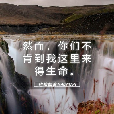 Picture 05 - 约 翰 福 音 5:40 CUVS - 然 而 ， 你 们 不 肯 到 我 这 里 来 - Bible Verse Picture
