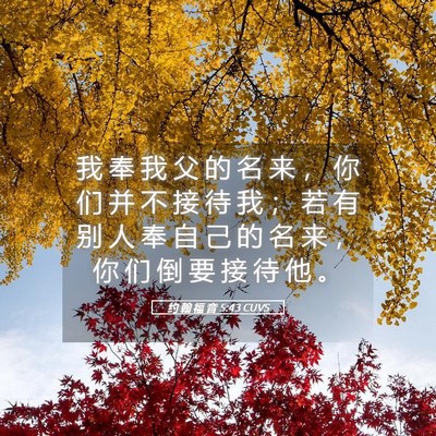 Picture 05 - 约 翰 福 音 5:43 CUVS - 我 奉 我 父 的 名 来 ， 你 们 并 不 - Bible Verse Picture