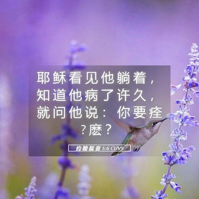 Picture 05 - 约 翰 福 音 5:6 CUVS - 耶 稣 看 见 他 躺 着 ， 知 道 他 病 - Bible Verse Picture