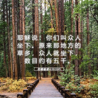 Picture 05 - 约 翰 福 音 6:10 CUVS - 耶 稣 说 ： 你 们 叫 众 人 坐 下 。 - Bible Verse Picture