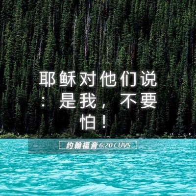 Picture 05 - 约 翰 福 音 6:20 CUVS - 耶 稣 对 他 们 说 ： 是 我 ， 不 要 - Bible Verse Picture