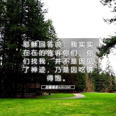 Picture 05 - 约 翰 福 音 6:26 CUVS - 耶 稣 回 答 说 ： 我 实 实 在 在 的 - Bible Verse Picture