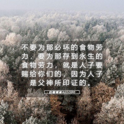 Picture 05 - 约 翰 福 音 6:27 CUVS - 不 要 为 那 必 坏 的 食 物 劳 力 ， - Bible Verse Picture