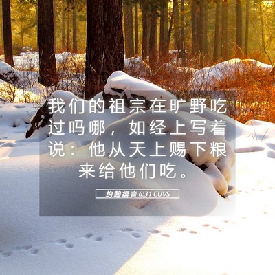 Picture 05 - 约 翰 福 音 6:31 CUVS - 我 们 的 祖 宗 在 旷 野 吃 过 吗 哪 - Bible Verse Picture