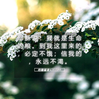 Picture 05 - 约 翰 福 音 6:35 CUVS - 耶 稣 说 ： 我 就 是 生 命 的 粮 。 - Bible Verse Picture