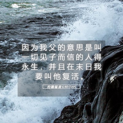Picture 05 - 约 翰 福 音 6:40 CUVS - 因 为 我 父 的 意 思 是 叫 一 切 见 - Bible Verse Picture