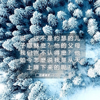 Picture 05 - 约 翰 福 音 6:42 CUVS - 说 ： 这 不 是 约 瑟 的 儿 子 耶 稣 - Bible Verse Picture