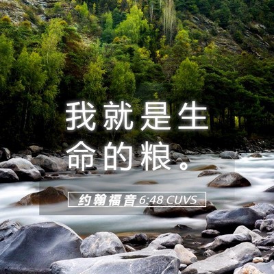 Picture 05 - 约 翰 福 音 6:48 CUVS - 我 就 是 生 命 的 粮 - Bible Verse Picture