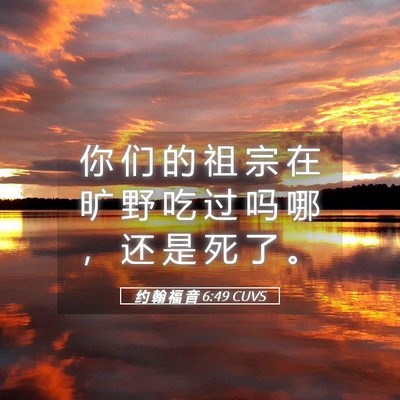 Picture 05 - 约 翰 福 音 6:49 CUVS - 你 们 的 祖 宗 在 旷 野 吃 过 吗 哪 - Bible Verse Picture
