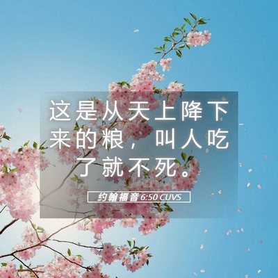 Picture 05 - 约 翰 福 音 6:50 CUVS - 这 是 从 天 上 降 下 来 的 粮 ， 叫 - Bible Verse Picture