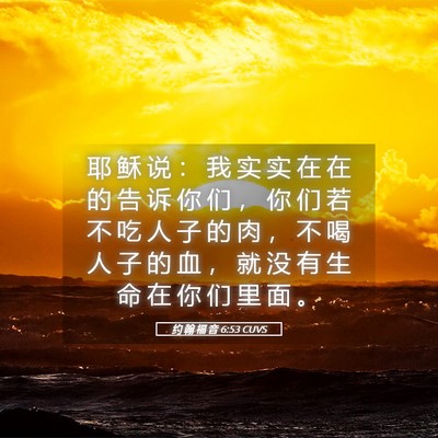 Picture 05 - 约 翰 福 音 6:53 CUVS - 耶 稣 说 ： 我 实 实 在 在 的 告 诉 - Bible Verse Picture