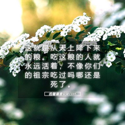 Picture 05 - 约 翰 福 音 6:58 CUVS - 这 就 是 从 天 上 降 下 来 的 粮 。 - Bible Verse Picture