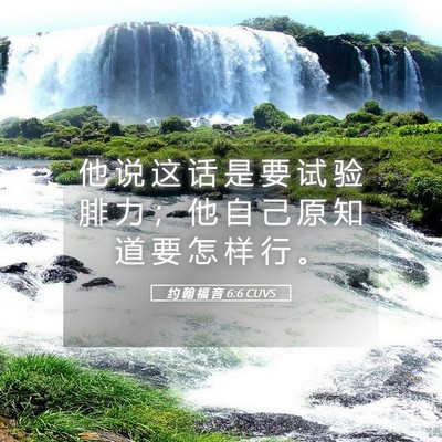Picture 05 - 约 翰 福 音 6:6 CUVS - 他 说 这 话 是 要 试 验 腓 力 ； 他 - Bible Verse Picture