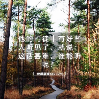 Picture 05 - 约 翰 福 音 6:60 CUVS - 他 的 门 徒 中 有 好 些 人 听 见 了 - Bible Verse Picture