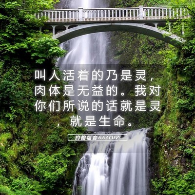 Picture 05 - 约 翰 福 音 6:63 CUVS - 叫 人 活 着 的 乃 是 灵 ， 肉 体 是 - Bible Verse Picture