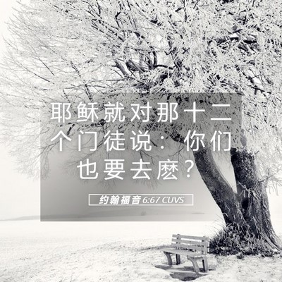 Picture 05 - 约 翰 福 音 6:67 CUVS - 耶 稣 就 对 那 十 二 个 门 徒 说 ： - Bible Verse Picture