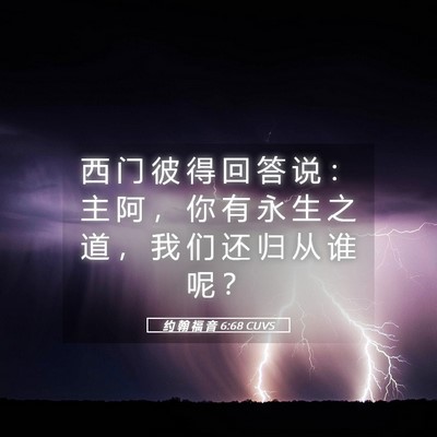 Picture 05 - 约 翰 福 音 6:68 CUVS - 西 门 彼 得 回 答 说 ： 主 阿 ， 你 - Bible Verse Picture